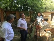 Altervita 3 (photo commune Le Teil).jpeg