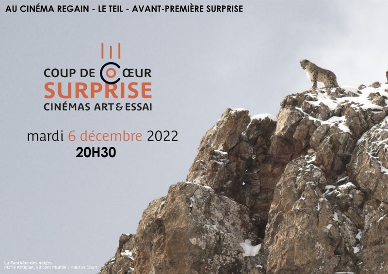afcae surprise