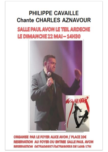 affiche Philippe Cavaille nl