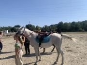 Animations « Quartiers d’été » – Des étoiles plein les yeux pour les enfants profitant des activités gratuites proposées aux Chevaux du Paradis !