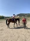 Animations « Quartiers d’été » – Des étoiles plein les yeux pour les enfants profitant des activités gratuites proposées aux Chevaux du Paradis !