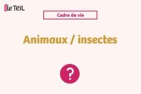 Animaux et insectes