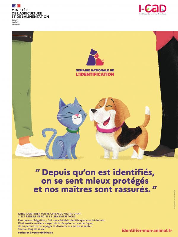 Campagne d'identification des animaux de compagnie