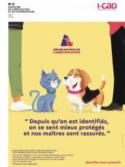 Campagne d'identification