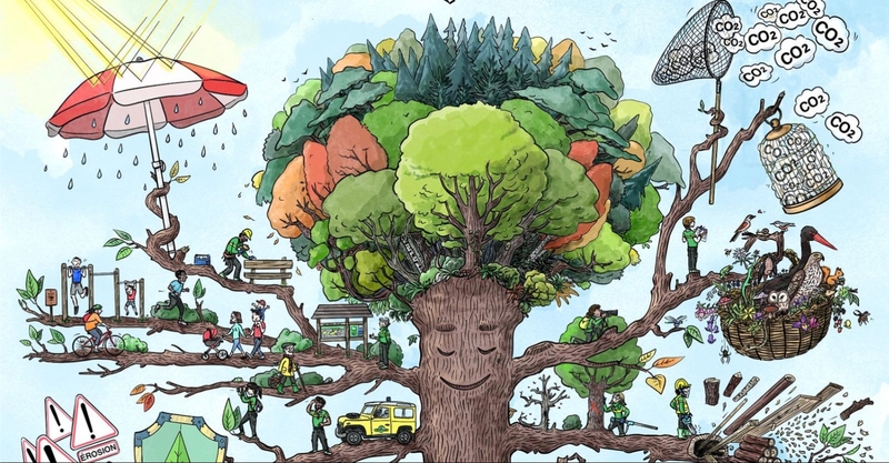 PROGRAMME ÉTÉ 2025 AU TEIL