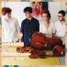 Concert Cordes en Balade