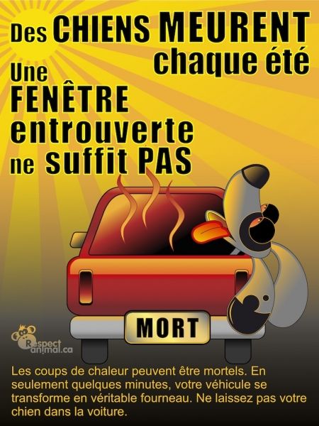 Coup de chaleur