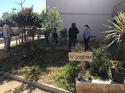 Création des jardins partagés - La Violette - Avril 2021 -5