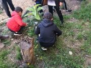 Création des jardins partagés - La Violette - Avril 2021 -8