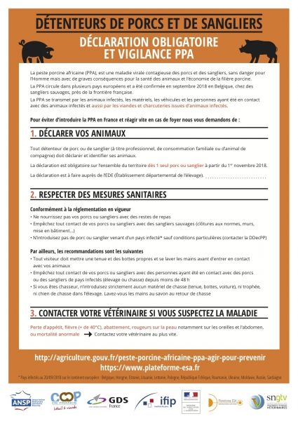Déclaration de porcs et sangliers