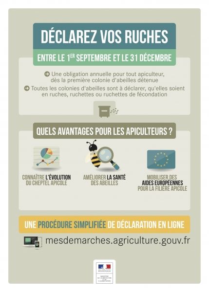 Déclaration de ruche