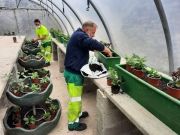 Fleurissement de la ville - avril 2021 -2