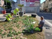 Fleurissement de la Ville - mai 2022 -1