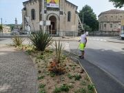 Fleurissement de la Ville - mai 2022 -2