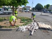 Fleurissement de la Ville - mai 2022 -3