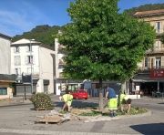 Fleurissement de la Ville - mai 2022 -4