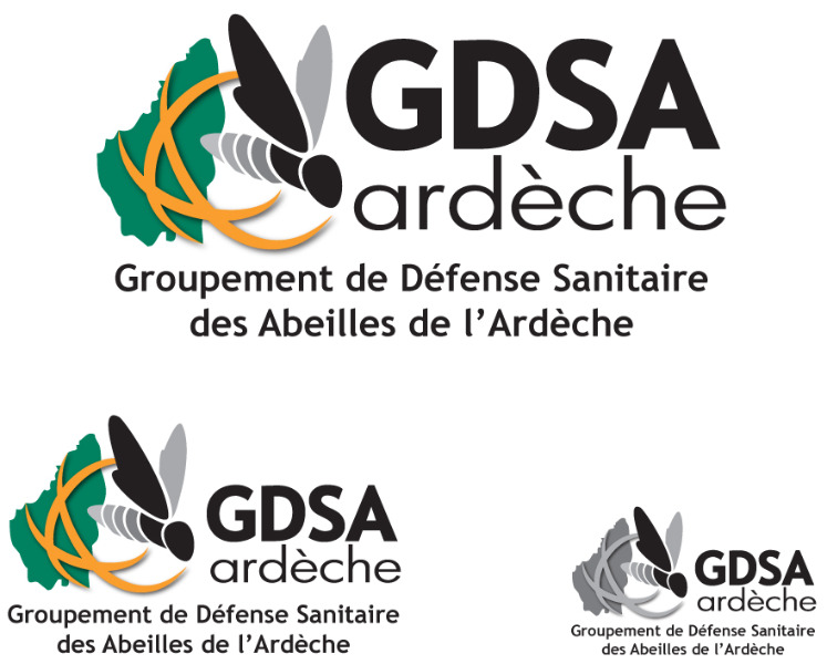 Frelon asiatique - GDSA