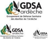 Frelon asiatique : une plateforme a été créée pour signaler les nids