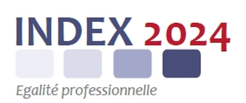 Index mesurant les écarts de rémunération femmes/hommes dans la fonction publique territoriale pour l'année 2024