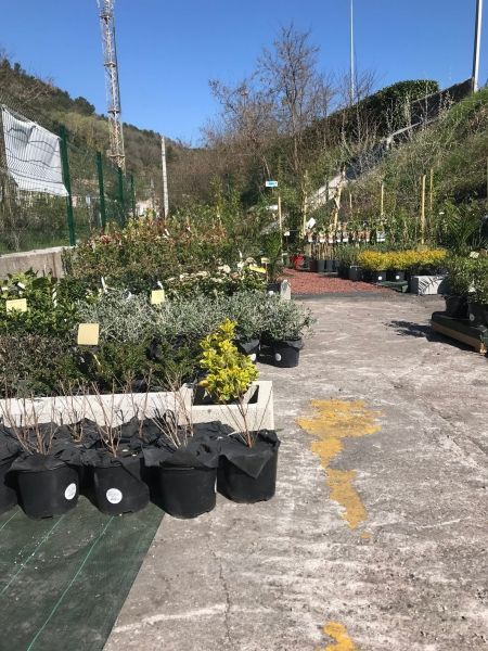 La jardinerie Malva au Teil a ouvert ses portes - 05-04-2022 - 5