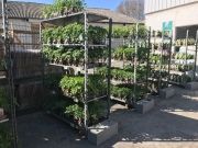 La jardinerie Malva au Teil a ouvert ses portes - 05-04-2022 - 6