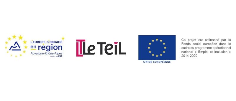 Lancement d'étude : structuration d'une EBE culturelle dans le cadre du projet TZCLD