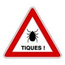 Tiques - maladies à transmission vectorielle
