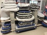 Nature Dog 07 - Le Teil - Septembre 2021 -7