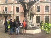 Patrimoine arboré - Le travail se poursuit entre élus et techniciens -4