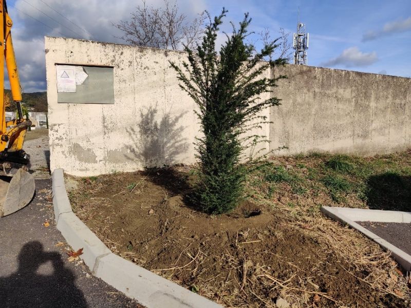 Plan "Nature en ville" - 15 arbres plantés par les agents communaux !