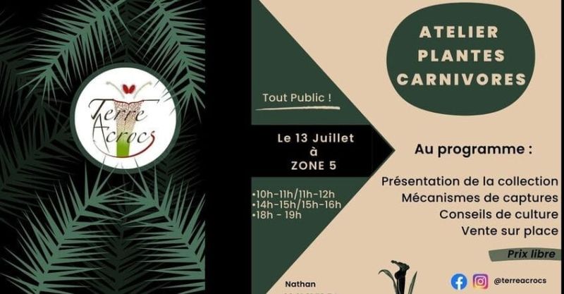 Plantes carnivores