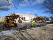 Programme nature en ville - 22 arbres supplémentaires plantés en quelques jours - mars 2023 -2