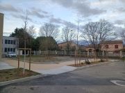 Programme nature en ville - 22 arbres supplémentaires plantés en quelques jours - mars 2023 -3