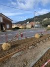 Programme nature en ville - 22 arbres supplémentaires plantés en quelques jours - mars 2023 -5