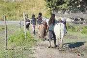 Quartiers d'été - Allez à la découverte de l'équitation aux "Chevaux du Paradis"