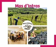 Salon de la Gastronomie Ardéchoise – 22 novembre - à découvrir !