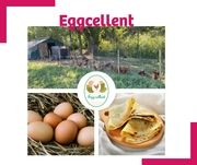 Salon de la Gastronomie Ardéchoise - à découvir le 22 novembre 2025