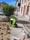 Service environnement - Le Teil - Mai 2021 -2