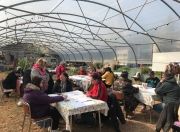 Territoire zéro chômeur de longue durée - Activiteil a soufflé sa première bougie cette semaine