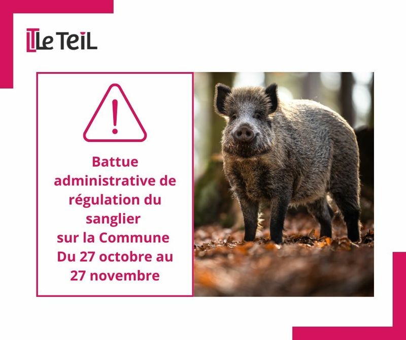 Vigilance // Battue administrative